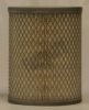 FLEETGUARD AF25295 Air Filter